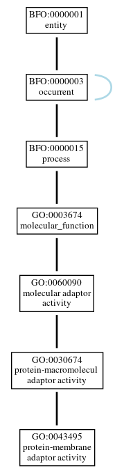 Graph of GO:0043495