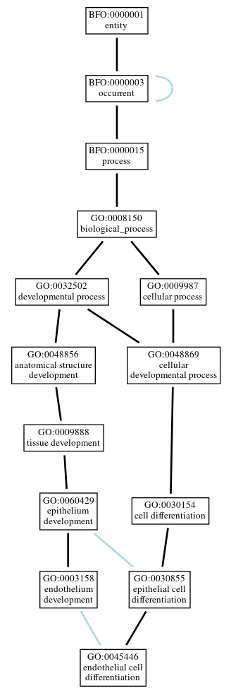 Graph of GO:0045446