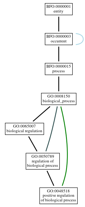 Graph of GO:0048518