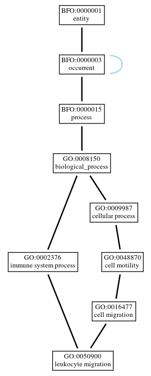 Graph of GO:0050900