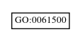Graph of GO:0061500