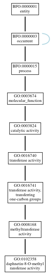 Graph of GO:0102358