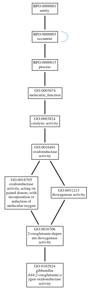 Graph of GO:0102924