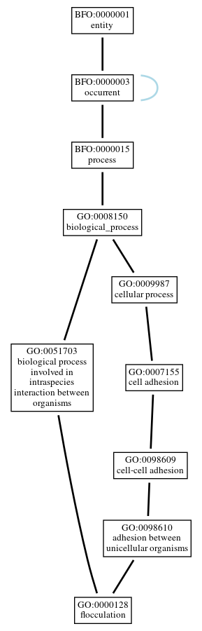 Graph of GO:0000128