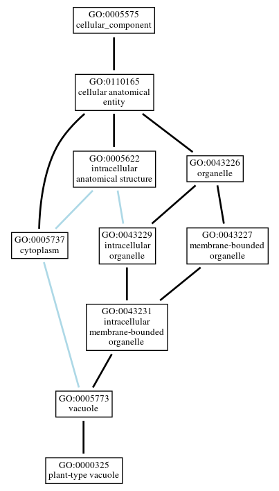 Graph of GO:0000325