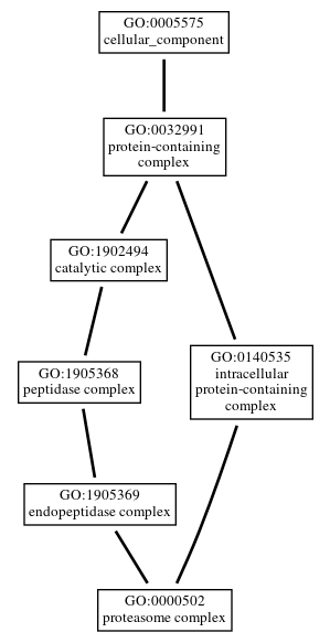 Graph of GO:0000502