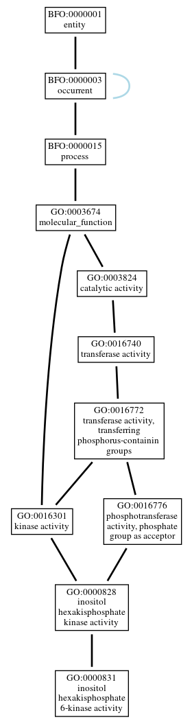 Graph of GO:0000831