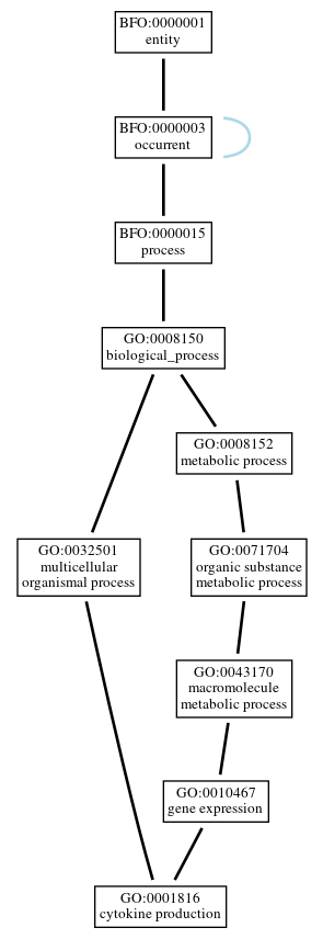Graph of GO:0001816