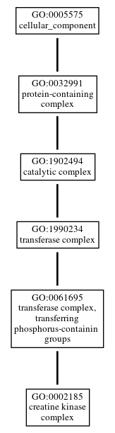 Graph of GO:0002185