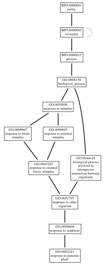 Graph of GO:0002241