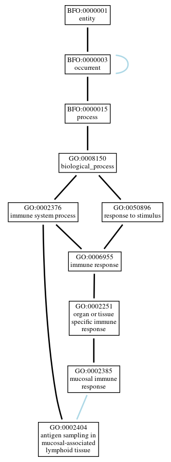 Graph of GO:0002404