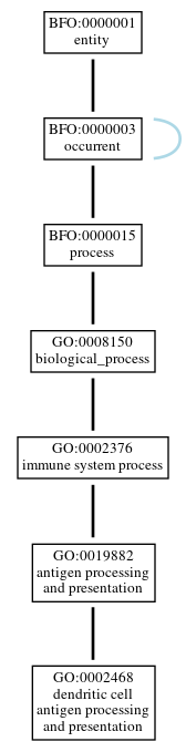 Graph of GO:0002468