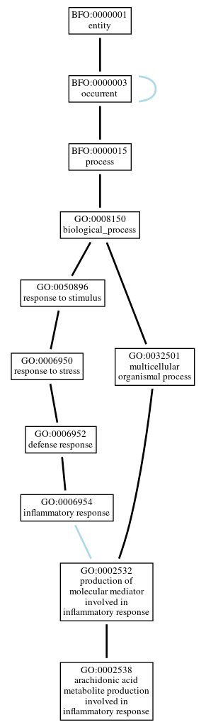 Graph of GO:0002538