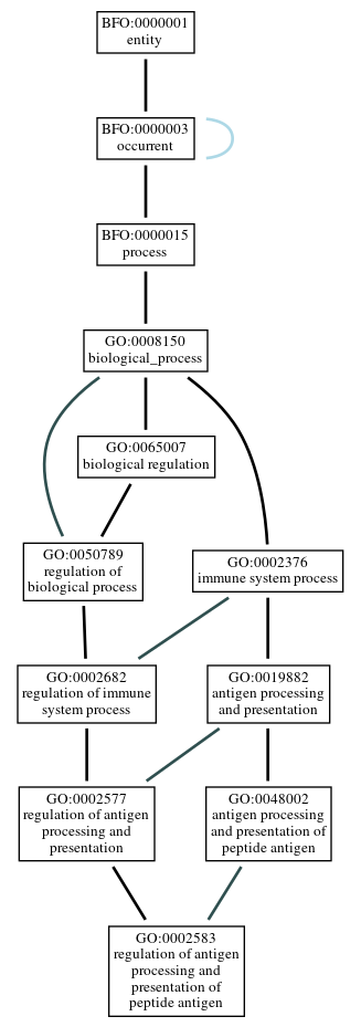 Graph of GO:0002583