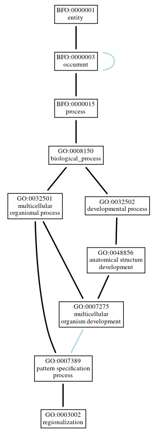 Graph of GO:0003002