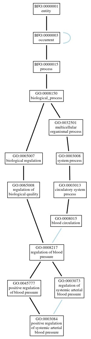 Graph of GO:0003084