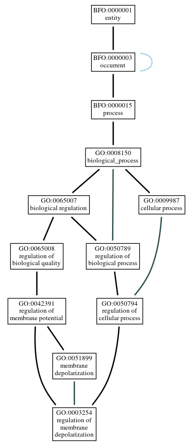 Graph of GO:0003254