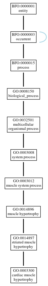 Graph of GO:0003300