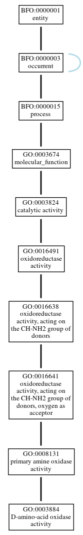 Graph of GO:0003884