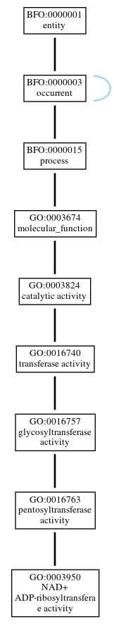 Graph of GO:0003950