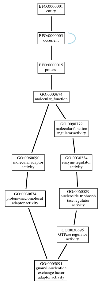 Graph of GO:0005091