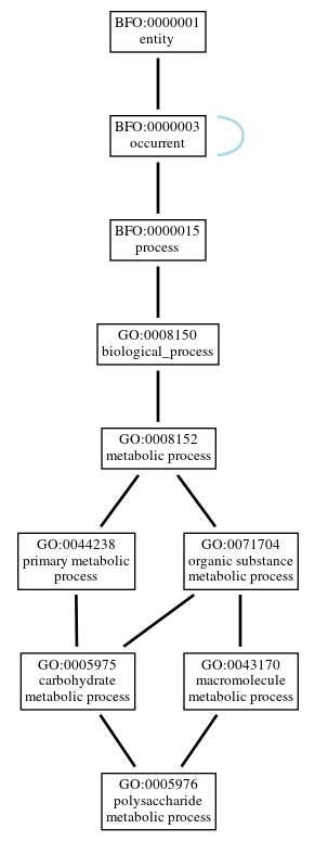 Graph of GO:0005976