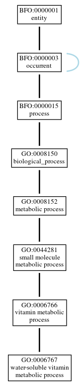 Graph of GO:0006767