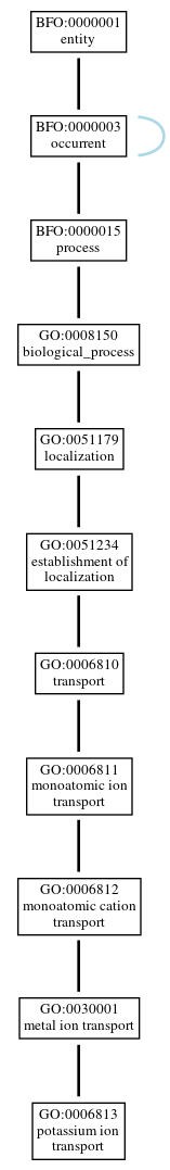 Graph of GO:0006813