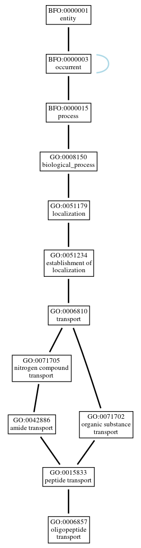 Graph of GO:0006857
