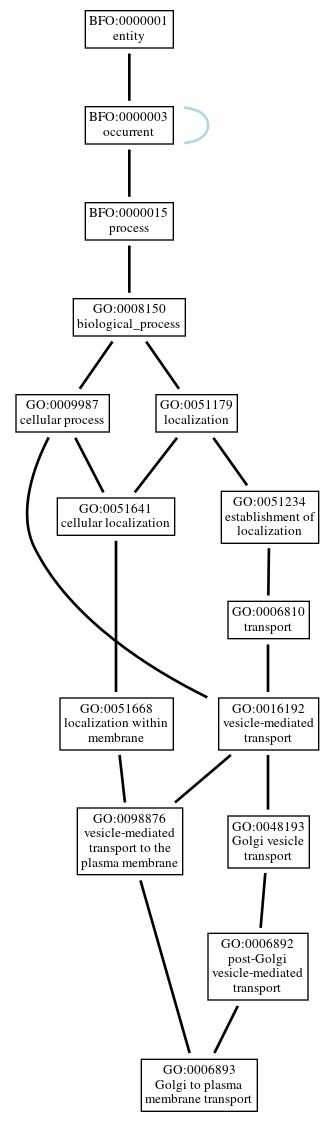 Graph of GO:0006893