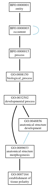 Graph of GO:0007164