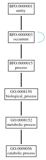 Graph of GO:0009056