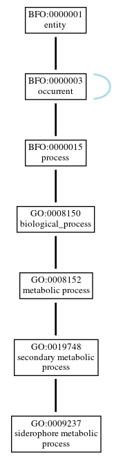 Graph of GO:0009237