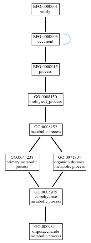 Graph of GO:0009311