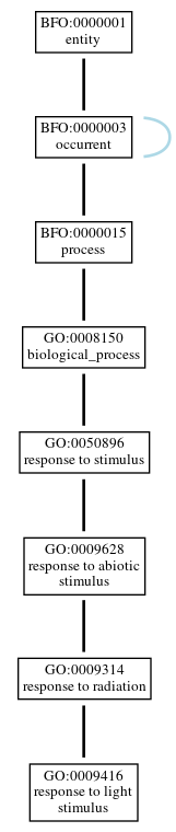 Graph of GO:0009416