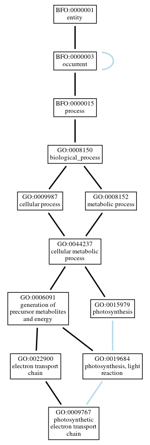 Graph of GO:0009767