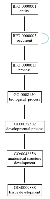 Graph of GO:0009888