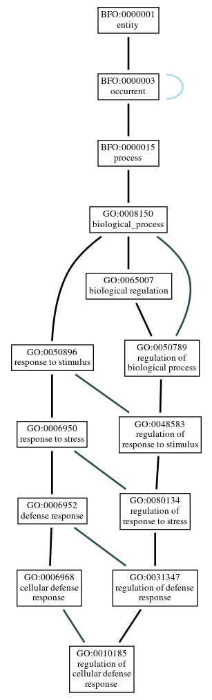 Graph of GO:0010185