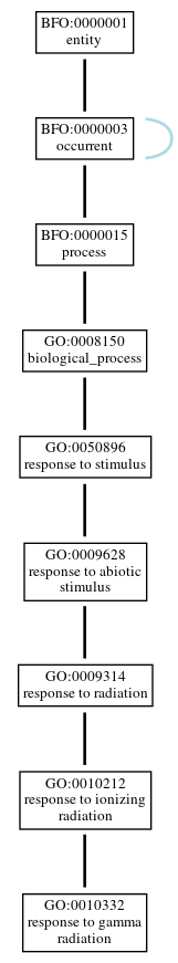 Graph of GO:0010332