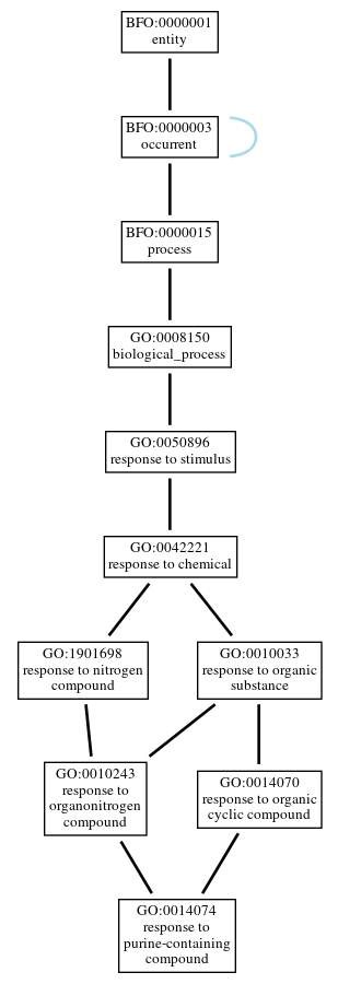 Graph of GO:0014074