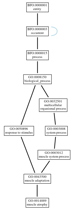 Graph of GO:0014889