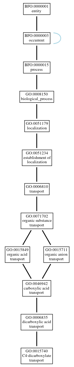Graph of GO:0015740
