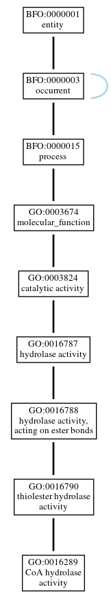 Graph of GO:0016289