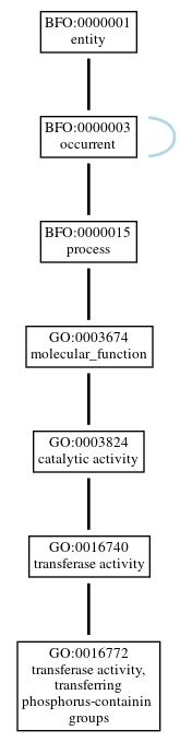 Graph of GO:0016772