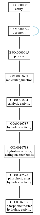 Graph of GO:0016795