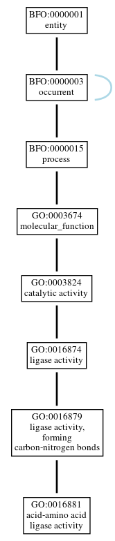Graph of GO:0016881