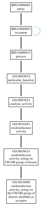 Graph of GO:0016900