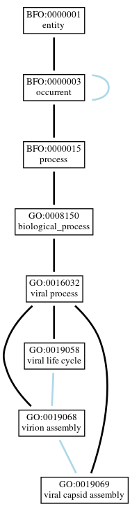 Graph of GO:0019069