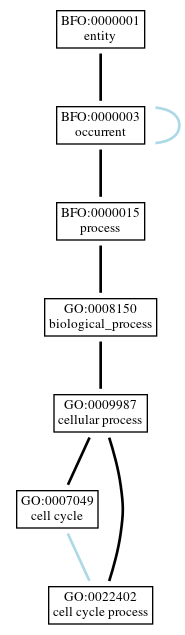 Graph of GO:0022402