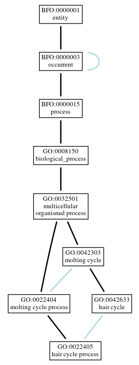 Graph of GO:0022405